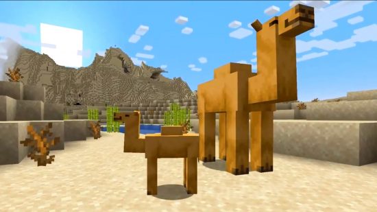 Minecraft camels in the desert: a baby and adult camel